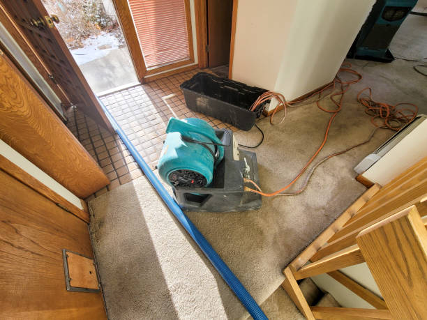 Sewage cleanup and water damage restoration in Farmingdale, NJ