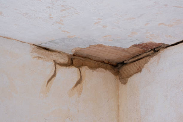Best Water damage restoration near me  in Farmingdale, NJ
