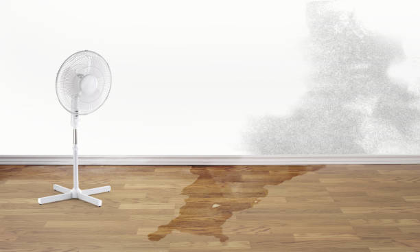 Best 24/7 water damage repair  in Farmingdale, NJ