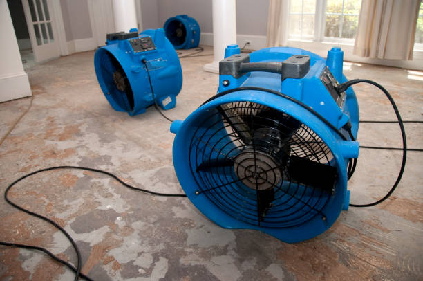 Sewage cleanup and water damage restoration in Farmingdale, NJ