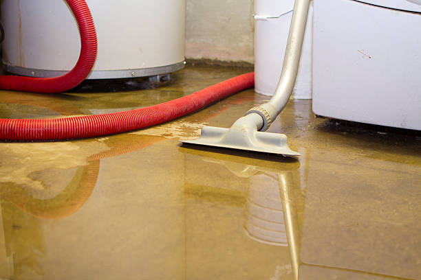 Best Fire Damage Restoration  in Farmingdale, NJ