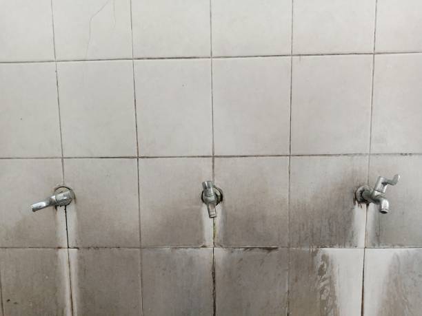 Best Commercial water damage restoration  in Farmingdale, NJ