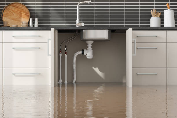 Best Water damage cleanup near me  in Farmingdale, NJ