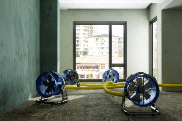 Best Water damage restoration services  in Farmingdale, NJ